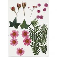 Creativ Company Dried Flowers and Leaves Light Red 19 pcs.