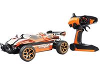 AMEWI RC Truggy Fierce