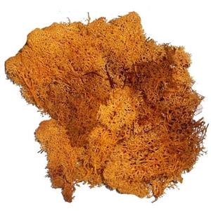 2x zakjes decoratie mos oranje 50 gram -