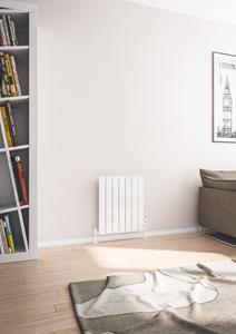 eastbrook Addington type 10 radiator 60 x 51,4cm 492 watt wit