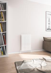 eastbrook Addington type 10 radiator 80 x 51,4cm 642 watt wit