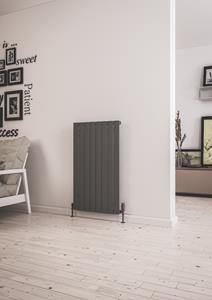 eastbrook Addington type 10 radiator 100 x 58,8cm 898 watt antraciet