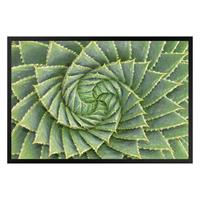 Klebefieber Fußmatte Spiral Aloe