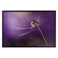Klebefieber Fußmatte Pusteblume in Violett