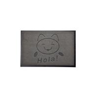 acerto Schmutzfangmatte CAT HOLA grau 40x60cm Fußabtreter Sauberlaufmatte - 