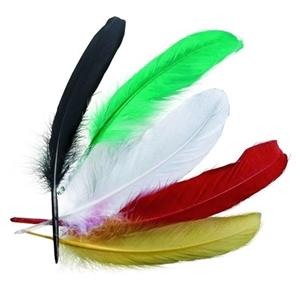 45x stuks gekleurde indianenveren 16 cm -