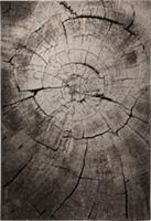 Yomonda Teppichart Wild Oak braun Gr. 80 x 150