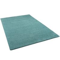 Snapstyle Hochflor Shaggy Teppich Palace mint Gr. 100 x 100