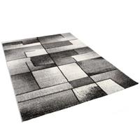 Pergamon Designer Teppich Brilliant Fantasy grau Gr. 120 x 170