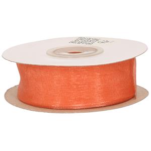 1x Hobby/decoratie koraal roze organza sierlinten 2,5 cm/25 mm x 20 meter -