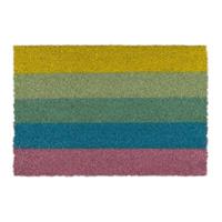 Relaxdays Fußmatte Kokos Regenbogen mehrfarbig