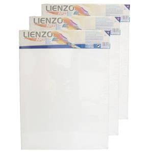 Gerim 6x stuks canvas schildersdoeken x 30 cm voor hobby verven/schilderen -
