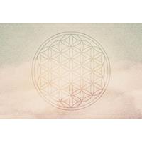 A.S. CREATIONS A.s.creations - DD117580 FlowerOfLife2 Atelier 47 fototapete orientalisch 270 x 400 cm (4 Teile) Online Fototapeten bestellen - Beige / Crème, Grün