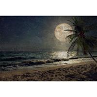 A.S. CREATIONS A.s.creations - DD117605 BeachAtNight1 Atelier 47 fototapete mond meer palmen 270 x 400 cm (4 Teile) Jetzt Fototapeten günstig kaufen - Braun, Weiß