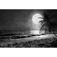 A.S. CREATIONS A.s.creations - DD117610 BeachAtNight2 Atelier 47 fototapete mond meer palmen 270 x 400 cm (4 Teile) Jetzt Fototapeten günstig kaufen - Grau, Weiß