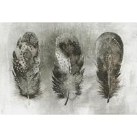 A.S. CREATIONS A.s.creations - DD117630 MotleyFeather3 Atelier 47 fototapete federn 270 x 400 cm (4 Teile) Fototapeten Online-Shop - Grau, Weiß