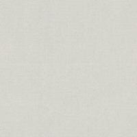 A.S. CREATIONS A.s.creations - Tapete einfarbig Tapete uni Grau Silber Vliestapete Grau Silber 370506 37050-6 - Grau, Silber