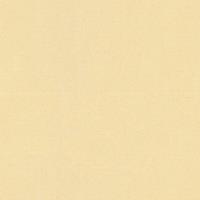 A.S. CREATIONS A.s.creations - Tapete einfarbig Tapete uni Gelb Silber Vliestapete Gelb Silber 370507 37050-7 - Gelb, Silber