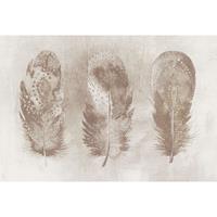 A.S. CREATIONS A.s.creations - DD117635 MotleyFeather4 Atelier 47 fototapete federn 270 x 400 cm (4 Teile) Fototapeten bei BRICOFLOR kaufen - Beige / Crème, Weiß