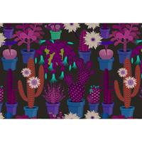 A.S. CREATIONS A.s.creations - Fototapete cactus garden1 DD114142 Livingwalls Walls by Patel Vliestapete Blau Orange Schwarz Violett - Grau, Orange, Rot, Schwarz