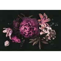 A.S. CREATIONS A.s.creations - Fototapete drama queen 3 DD114172 Livingwalls Walls by Patel Vliestapete Rosa Schwarz Violett - Rosa, Türkis