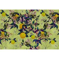 A.S. CREATIONS A.s.creations - Fototapete grapefruitTre1 DD114257 Livingwalls Walls by Patel Vliestapete Gelb Grün - Blau, Creme, Rosa