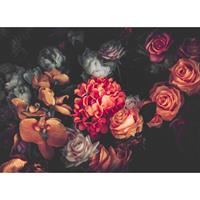 A.S. CREATIONS DD118510 RomanticFlowers1 Designwalls fototapete blumen rosen 255 x 350 cm (4 Teile) Online Fototapeten bestellen - Orange / Terrakotta, Rot