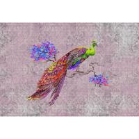 A.S. CREATIONS Fototapete peacock 2 DD114312 Livingwalls Walls by Patel Vliestapete Grün Rosa Rot Violett - Beige, Gelb, Grau, Violett