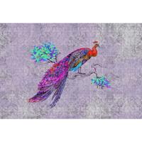 A.S. CREATIONS A.s.creations - Fototapete peacock 3 DD114317 Livingwalls Walls by Patel Vliestapete Blau Rosa Rot Violett - Beige, Blau, Orange, Violett