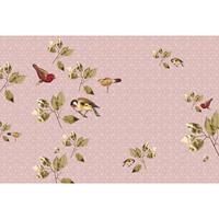 A.S. CREATIONS A.s.creations - Fototapete brillantBirds1 DD114322 Livingwalls Walls by Patel Vliestapete Grün Rosa - Blau, Grün, Orange, Rosa