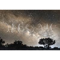 A.S. CREATIONS A.s.creations - DD117765 MoonPhases2 Atelier 47 fototapete himmel mond wald sternenhimmel 270 x 400 cm (4 Teile) Fototapeten online entdecken - Gelb,