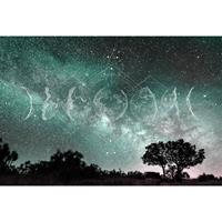 A.S. CREATIONS DD117770 MoonPhases3 Atelier 47 fototapete himmel mond wald sternenhimmel 270 x 400 cm (4 Teile) Fototapeten bei BRICOFLOR kaufen - Blau, Grün