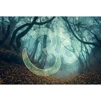 A.S. CREATIONS A.s.creations - DD117775 SymbolForest1 Atelier 47 fototapete wald symbole 270 x 400 cm (4 Teile) Jetzt Fototapeten günstig kaufen - Blau, Grün