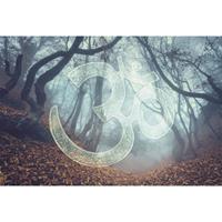 A.S. CREATIONS A.s.creations - DD117780 SymbolForest2 Atelier 47 fototapete wald symbole 270 x 400 cm (4 Teile) Fototapeten Online-Shop - Blau, Grün