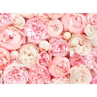 A.S. CREATIONS A.s.creations - DD118522 Roses Designwalls fototapete blumen rosen 255 x 350 cm (4 Teile) Jetzt Fototapeten günstig kaufen - Pink / Rosa, Weiß