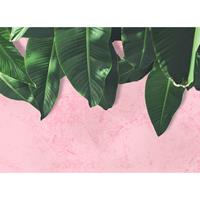 A.S. CREATIONS A.s.creations - DD118544 LeavesWall1 Designwalls fototapete natur palmen dschungel 255 x 350 cm (4 Teile) Fototapeten bei BRICOFLOR kaufen - Grün,