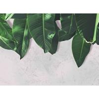 A.S. CREATIONS A.s.creations - DD118546 LeavesWall2 Designwalls fototapete natur palmen dschungel 255 x 350 cm (4 Teile) Jetzt Fototapeten günstig kaufen - Grau,