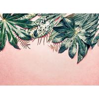 A.S. CREATIONS A.s.creations - DD118548 LeavesVariety1 Designwalls fototapete natur palmen dschungel 255 x 350 cm (4 Teile) Fototapeten Online-Shop - Grün, Pink /
