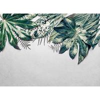 A.S. CREATIONS A.s.creations - DD118550 LeavesVariety2 Designwalls fototapete natur palmen dschungel 255 x 350 cm (4 Teile) Jetzt Fototapeten günstig kaufen - Blau,