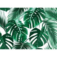 A.S. CREATIONS DD118572 PalmLeaves1 Designwalls fototapete dschungel palmen 255 x 350 cm (4 Teile) Fototapeten Online-Shop - Grün, Weiß