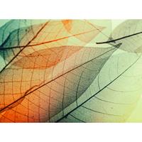 A.S. CREATIONS A.s.creations - DD118588 LimpidLeaf2 Designwalls fototapete natur wald 255 x 350 cm (4 Teile) Online Fototapeten bestellen - Grün, Orange / Terrakotta