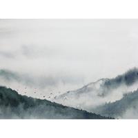 A.S. CREATIONS A.s.creations - DD118614 GloomyLandscape1 Designwalls fototapete berge vögel natur 255 x 350 cm (4 Teile) Fototapeten Online-Shop - Grau, Schwarz /