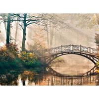 A.S. CREATIONS DD118622 ParkBridge1 Designwalls fototapete wald brücke natur 255 x 350 cm (4 Teile) Fototapeten Online-Shop - Braun, Grün
