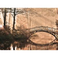 A.S. CREATIONS DD118624 ParkBridge2 Designwalls fototapete wald brücke natur 255 x 350 cm (4 Teile) Fototapeten bei BRICOFLOR kaufen - Braun, Grün