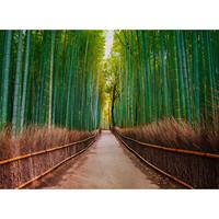 A.S. CREATIONS A.s.creations - DD118630 BambusWalk Designwalls fototapete bambus 255 x 350 cm (4 Teile) Fototapeten online entdecken - Braun, Grün