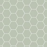 ART FOR THE HOME Superfresco Easy - Vliestapete - Honigwabe - Geo - Grün - 10m x 52cm
