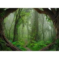 A.S. CREATIONS A.s.creations - DD118632 TropicalForest Designwalls fototapete wald regenwald natur dschungel 255 x 350 cm (4 Teile) Fototapeten bei BRICOFLOR kaufen