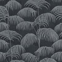 A.S. CREATIONS A.s.creations - Dschungel-Tapete Tropische Tapete Grau Schwarz Anthrazit Vliestapete Grau Schwarz Anthrazit 961984 96198-4 - Grau, Schwarz / Anthrazit