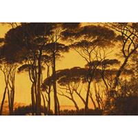 A.S. CREATIONS A.s.creations - DD117885 Treetops3 Atelier 47 fototapete wald natur gemälde 270 x 400 cm (4 Teile) Fototapeten online entdecken - Orange /