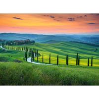 A.S. CREATIONS A.s.creations - DD118650 Tuscany1 Designwalls fototapete mediterran toskana landschaft italien 255 x 350 cm (4 Teile) Fototapeten bei BRICOFLOR